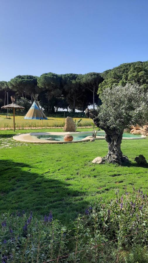 El Oasis De Anayansi Cabanas Con Encanto Vejer de la Frontera Luaran gambar