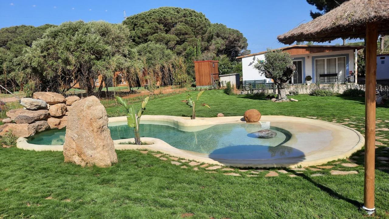 El Oasis De Anayansi Cabanas Con Encanto Vejer de la Frontera Luaran gambar