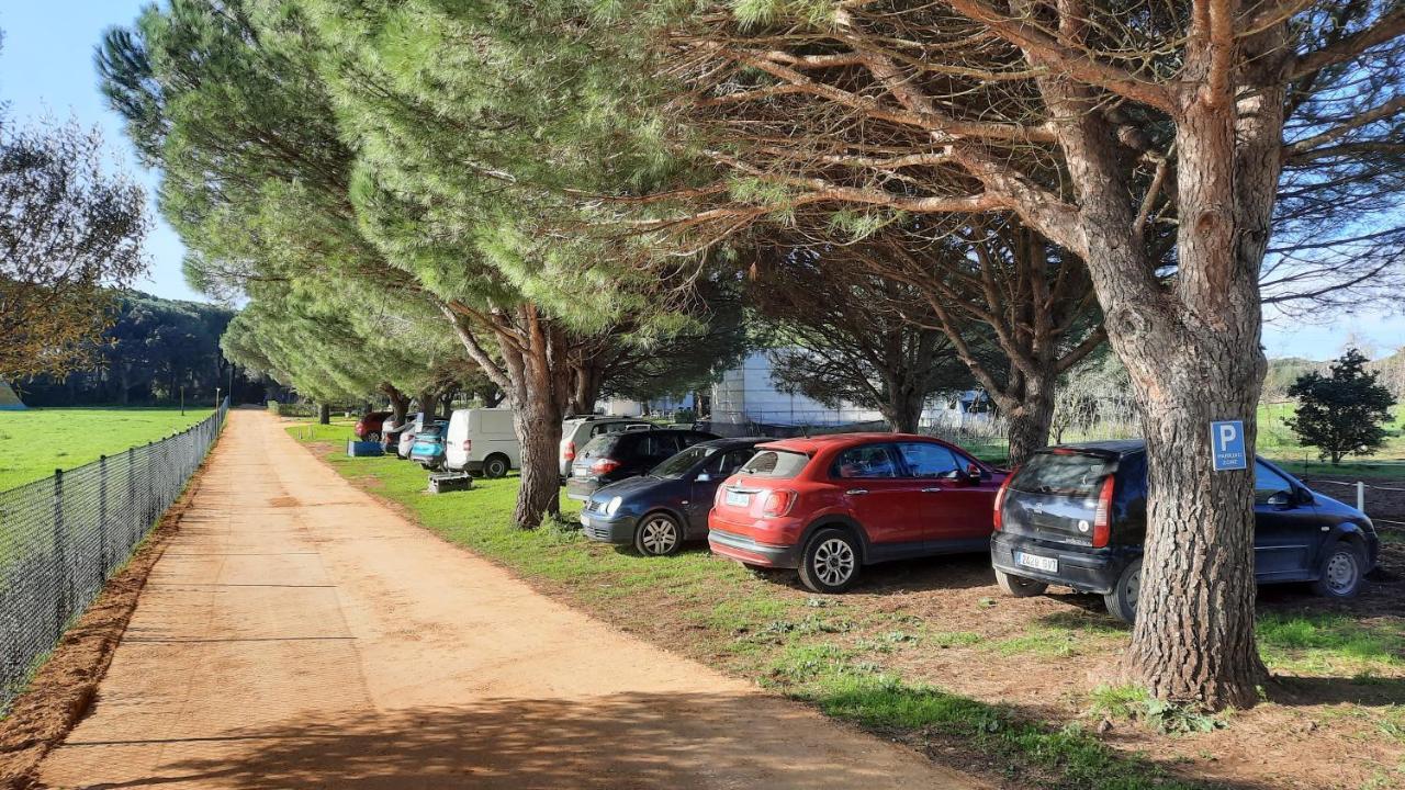 El Oasis De Anayansi Cabanas Con Encanto Vejer de la Frontera Luaran gambar
